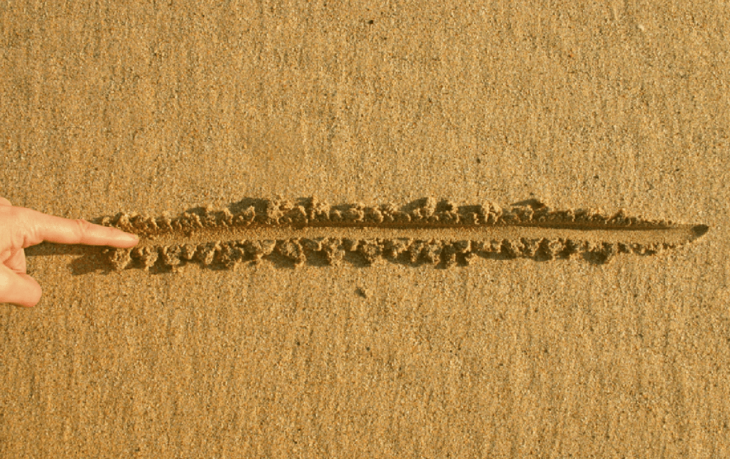 The Line in the&nbsp;Sand